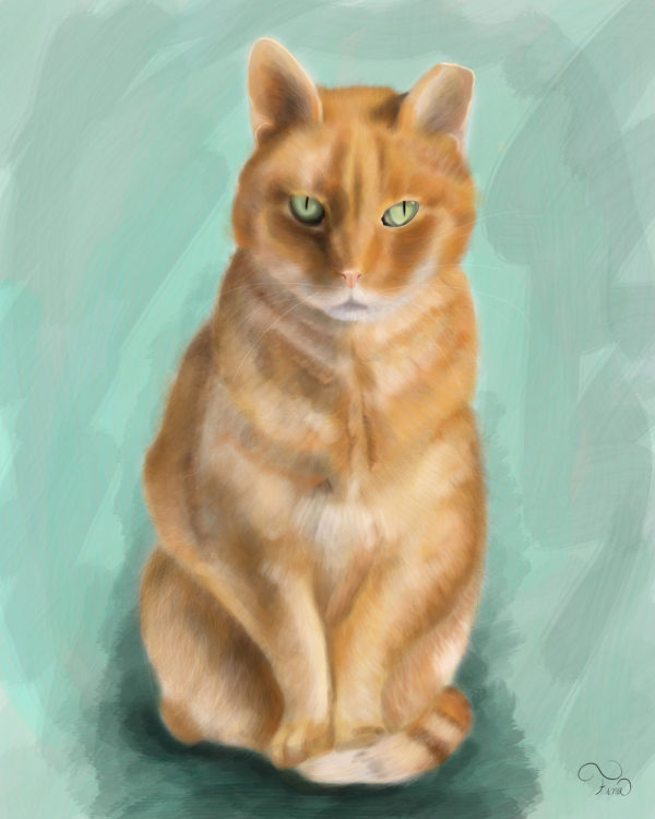 Custom Digital Oil Painting Cat