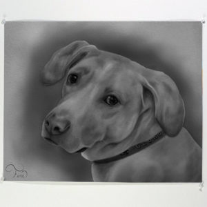 Charcoal Drawing Riley Download Only