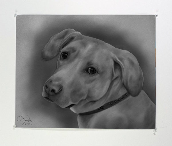 Charcoal Drawing Riley Download Only